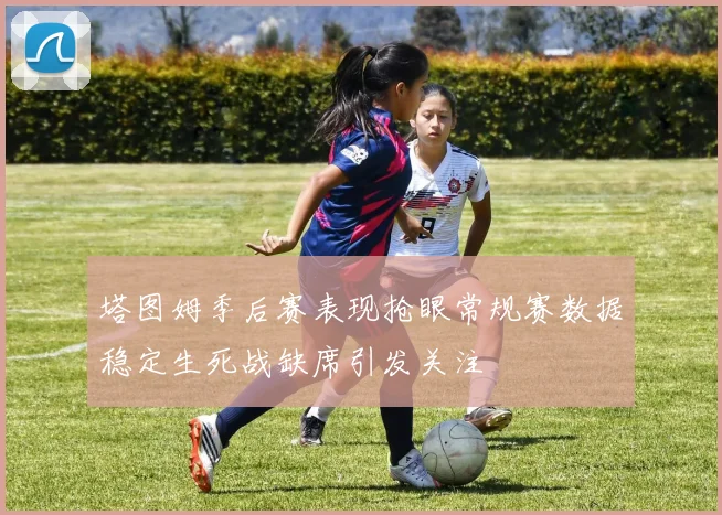 塔图姆季后赛表现抢眼常规赛数据稳定生死战缺席引发关注