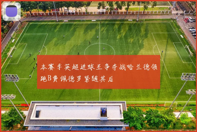 本赛季英超进球王争夺战哈兰德领跑B费佩德罗紧随其后
